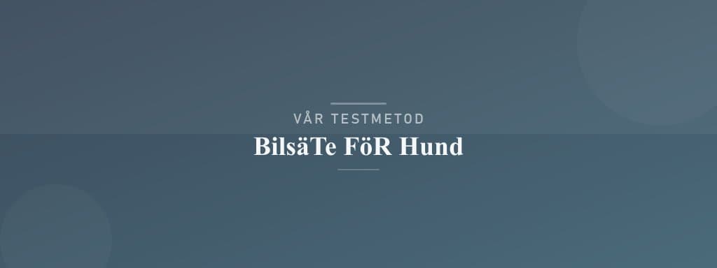 Så testar vi bilsäte för hund