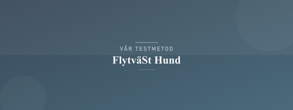 Så testar vi flytväst hund