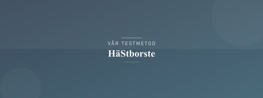 Så testar vi hästborste