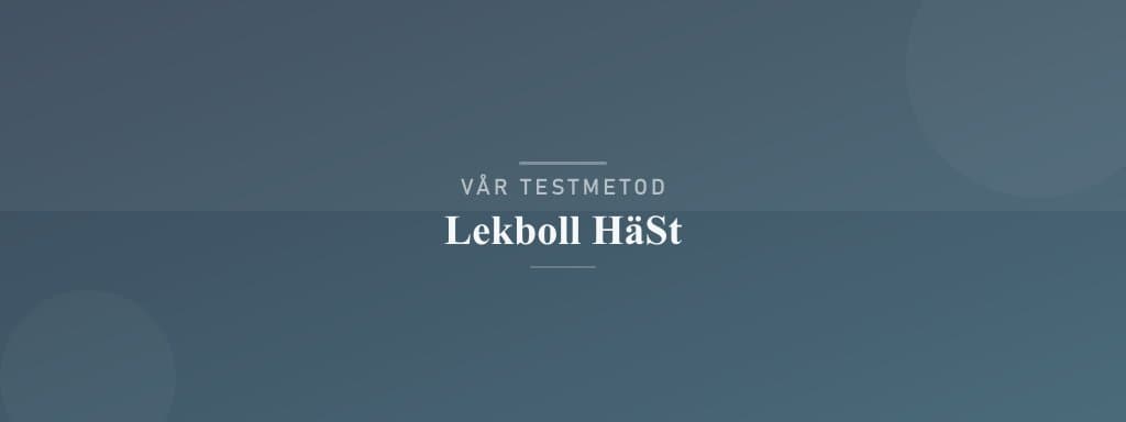 Så testar vi lekboll häst