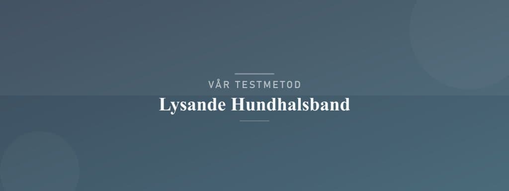 Så testar vi lysande hundhalsband