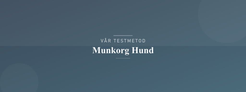 Så testar vi munkorg hund