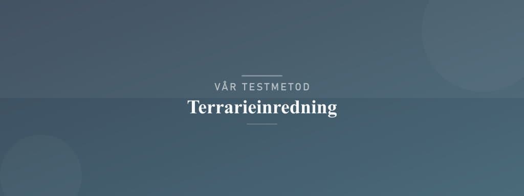 Så testar vi terrarieinredning