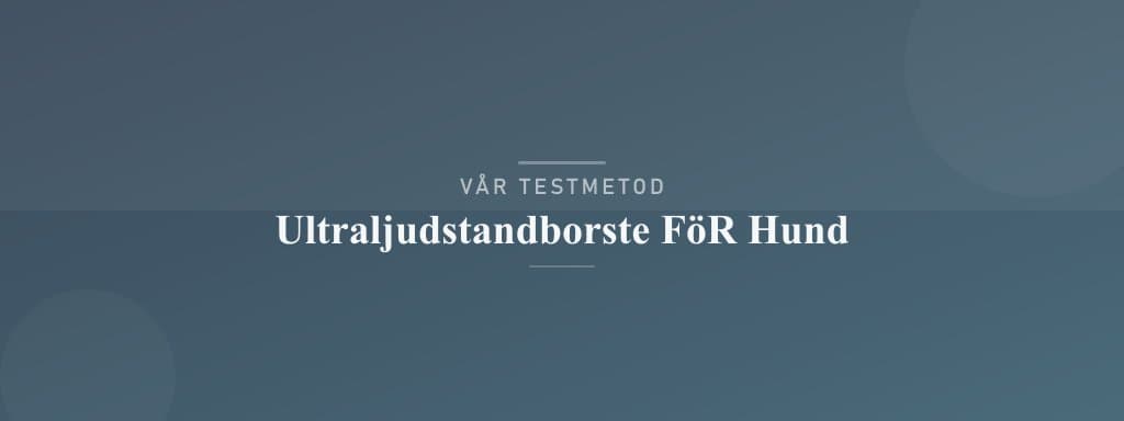 Så testar vi ultraljudstandborste för hund