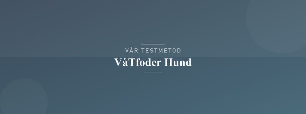 Så testar vi våtfoder hund