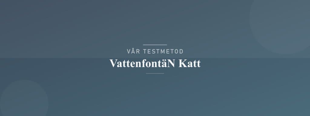 Så testar vi vattenfontän katt