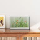 vidaXL Akvarium med lagring 30 x 20 x 20 cm Glas