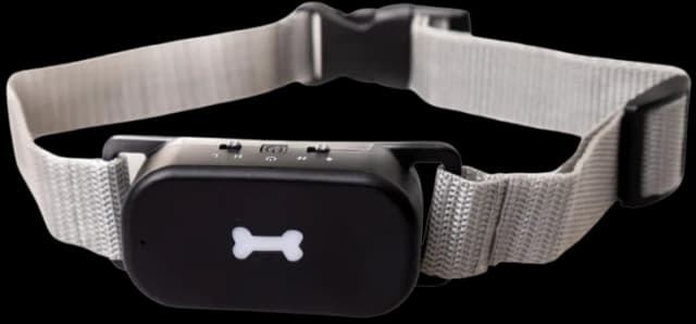 Active Canis No Bark Collar Large – Bästa billiga – antiskällhalsband bäst i test 2026