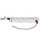 Arbetsrep Hast bäst i test 2026