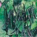 Baljvaxt bäst i test 2026