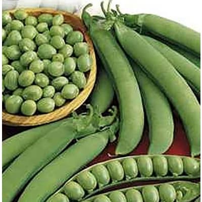 Spritärt 'meteor' – Mest för pengarna – baljväxt bäst i test 2026