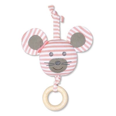 Apple Park – Topp i budget – barnvagnsleksak bäst i test 2026