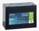 Elfhub LiFePO4-bilbatteri på 12 V/100 Ah Bluetooth,100A BMS, >5000 ggr, djupcykel,1280 W,avstängningsskydd vid låg temperatur, för husbil, camping, båt och solceller i hemmet (12V 100Ah mit Bluetooth)