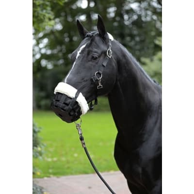 Covalliero- Betesreducerare - Fodrad – Budgetfavorit – betesreducerare bäst i test 2026