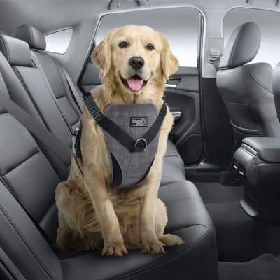 All For Paws Dog Bilsele – Bäst i test – bilbälte hund bäst i test 2026