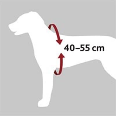 Bilsele Dog Protect – Toppklassval – bilbälte hund bäst i test 2026