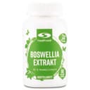 Healthwell Boswellia Extrakt
