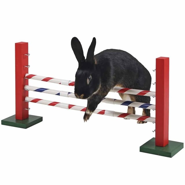 Kerbl Upright Jump Kaninhinder – Flexibel användning – burtillbehör kanin bäst i test 2026