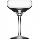 Orrefors More Champagne Coupe
