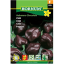 Chili 'habanero Chocolate' Frö