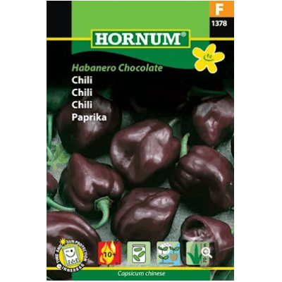Chili 'habanero Chocolate' Frö – Lyxigaste alternativ – chilifrö bäst i test 2026