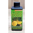 Citrusnäring Citrus Focus