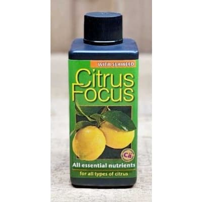 Citrusnäring Citrus Focus – Budgetfavorit – citrusnäring bäst i test 2026