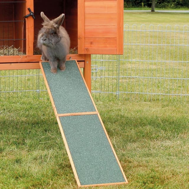 Trixie Traramp For Smadjur 50 Cm – Budgettips – degubur bäst i test 2026