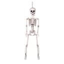 Skelett, Prop