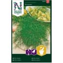 Bouquet Dill