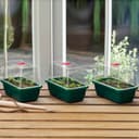 Minidrivhus Mini 3-pack, Grön