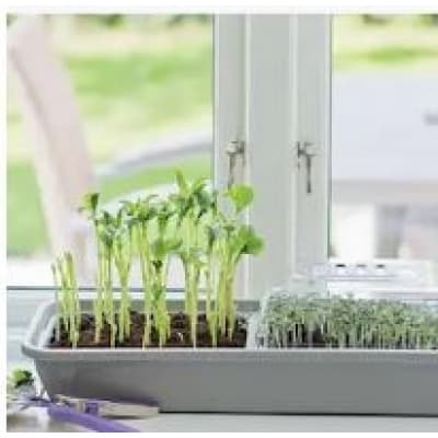Miniväxthus 'micro Leaf' 3-box – Topp för frösådd – drivhus bäst i test 2026