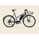 Stålhästen Hybrid Steps Dam