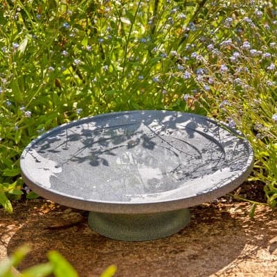 Fågelbad Water Is Life – Miljövänligaste valet – fågelbad bäst i test 2026