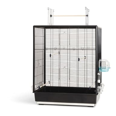 Savic Primo 60 Open Empire Knock Down Fagelbur