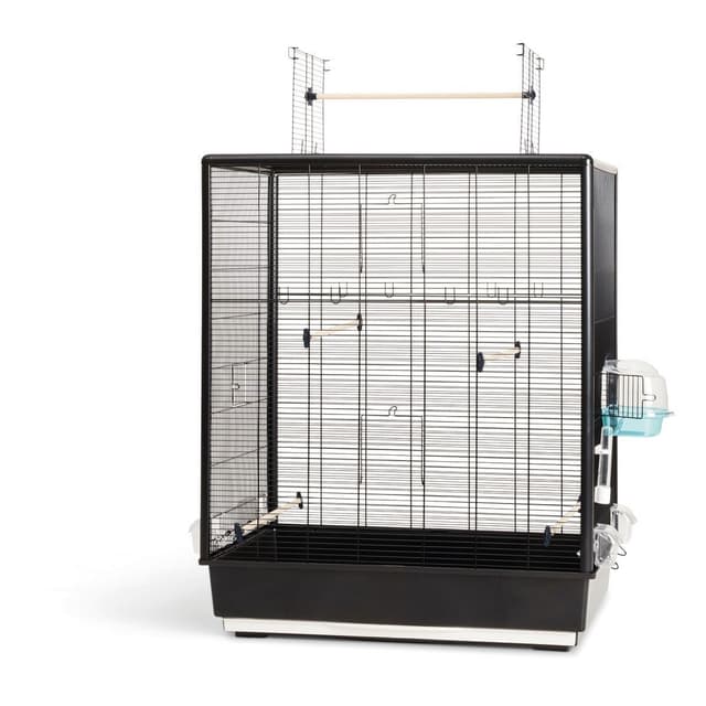 Savic Primo 60 Open Empire Knock Down Fagelbur – Bäst i test – fågelbur bäst i test 2026