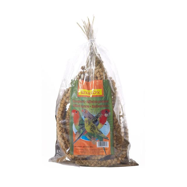 Benelux Hirskolvar – Budgetval – fågelgodis bäst i test 2026