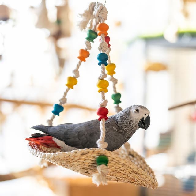 Quapas Hangmatta I Sjogras Till Fagel Och Gnagare 34x29 Cm – Högsta kvalitet – fågelleksaker bäst i test 2026