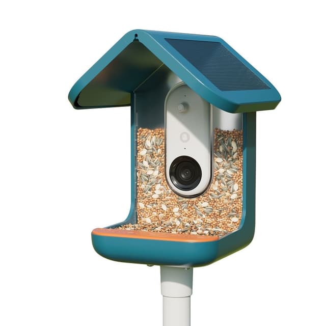 Birdbuddy Fagelmatare Med Kamera Bla – Bäst i test – fågelmatare bäst i test 2026