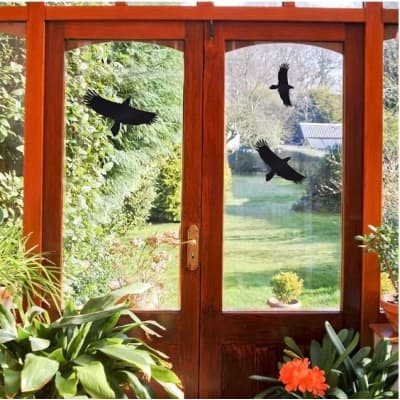 Fågelsiluetter För Fönster – Mest prisvärd – fågelskrämma bäst i test 2026