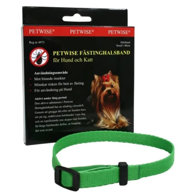 Petwise Fästinghalsband för hund small – Bästa billiga – fästinghalsband hund bäst i test 2026