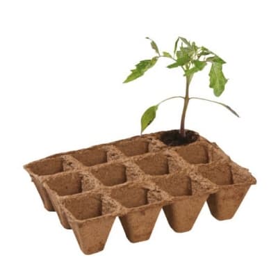 Fiberbrätte Med 4x3 Pluggar – Topprankat brätte – fiberkruka bäst i test 2026