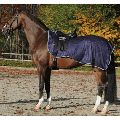 Kavalkade Flug & Ridtäcke – Bäst i test – flugridtäcke bäst i test 2026