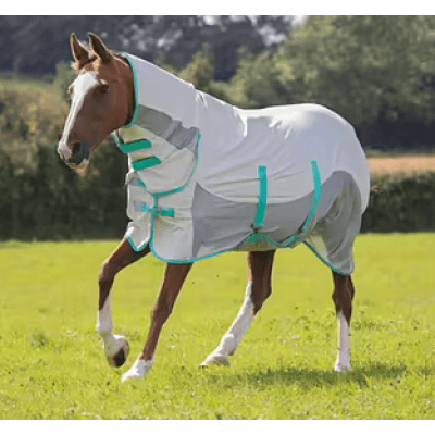 Tempest Flugtäcke Med Mesh - Vit – Effektivast solskydd – flugtäcke häst bäst i test 2026