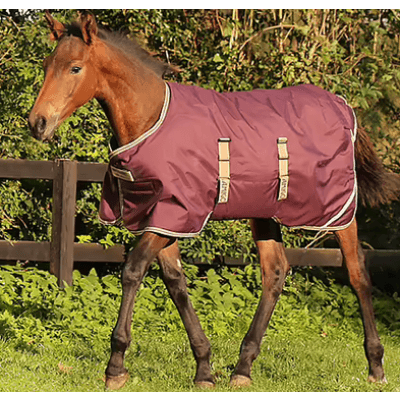 Horseware Amigo® Foal Rug Ripstop 200 G Föltäcke - Fig/ Navy & Tan – Bäst i test – föltäcke bäst i test 2026