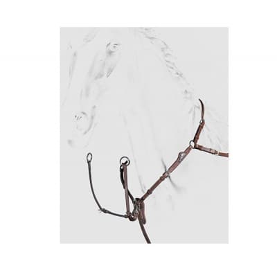 Equiline Förbygel - Brun – Toppklassval – förbygel bäst i test 2026