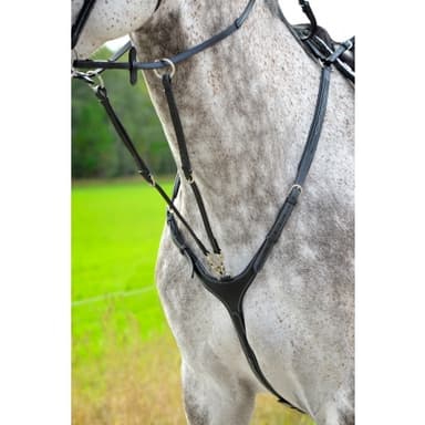 Lippo Fazzino- Förbygel Med Avtagbart Martingal- Svart