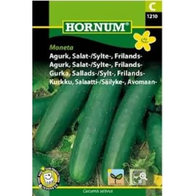 Frilandsgurka 'moneta' – Bäst i test – frilandsgurka bäst i test 2026