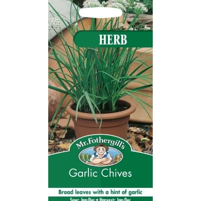 Gräslök 'garlic' – Prisvärdaste valet – gräslök bäst i test 2026
