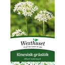 Gräslök Kinesiskt